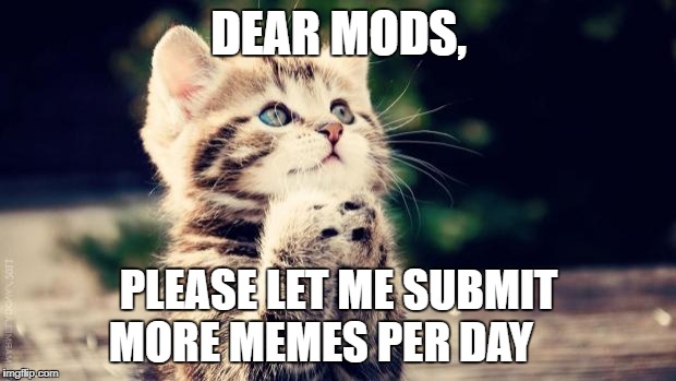 Cute Cat Praying | DEAR MODS, PLEASE LET ME SUBMIT MORE MEMES PER DAY | image tagged in cute cat praying | made w/ Imgflip meme maker