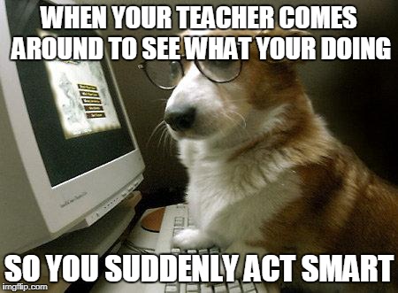 Smart Dog | WHEN YOUR TEACHER COMES AROUND TO SEE WHAT YOUR DOING; SO YOU SUDDENLY ACT SMART | image tagged in smart dog | made w/ Imgflip meme maker