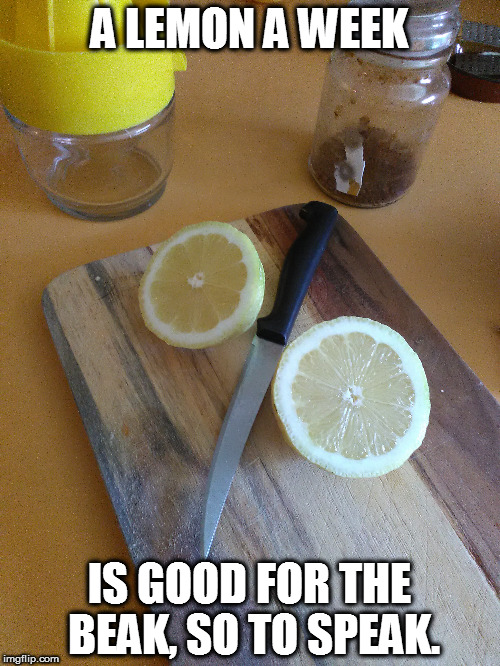 Lemons [of course] | A LEMON A WEEK; IS GOOD FOR THE BEAK, SO TO SPEAK. | image tagged in 2 halves of a lemon | made w/ Imgflip meme maker