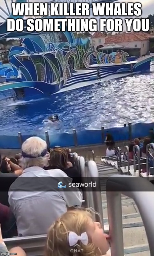 WHEN KILLER WHALES DO SOMETHING FOR YOU | image tagged in seaworld | made w/ Imgflip meme maker