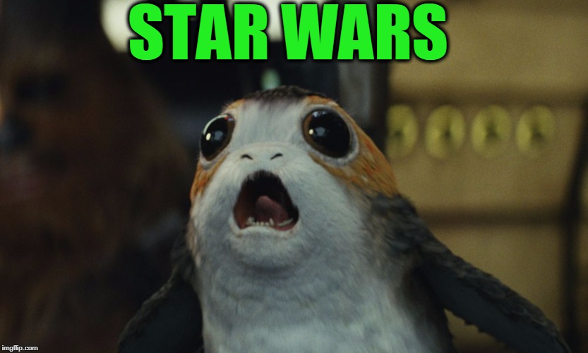 Star Wars |  STAR WARS | image tagged in porg,star wars | made w/ Imgflip meme maker