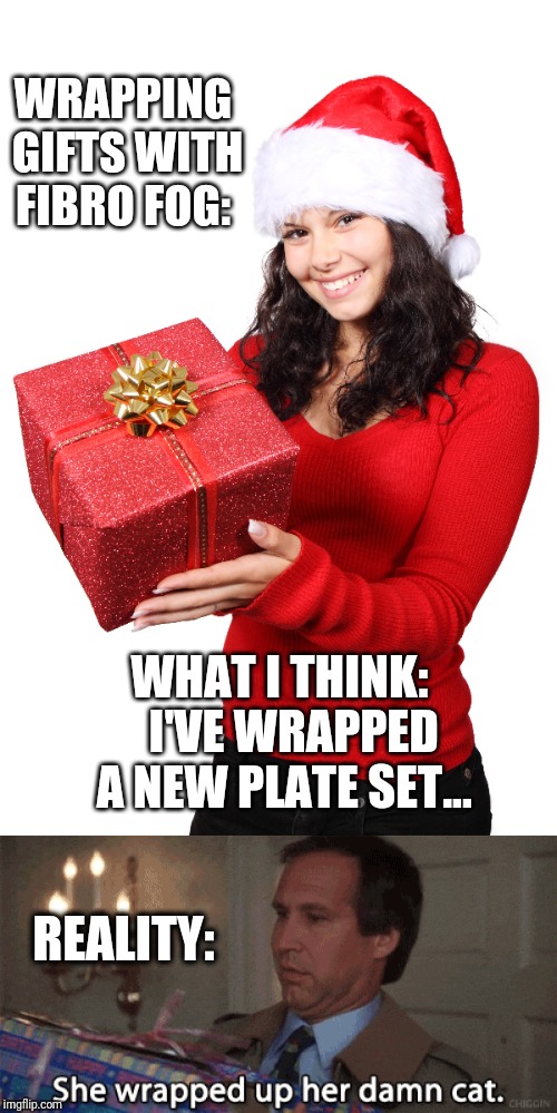 Fibro Fog Gift Wrapping  | WRAPPING GIFTS WITH FIBRO FOG:; WHAT I THINK: 
 I'VE WRAPPED A NEW PLATE SET... REALITY: | image tagged in gifts,disease,funny,christmas vacation | made w/ Imgflip meme maker