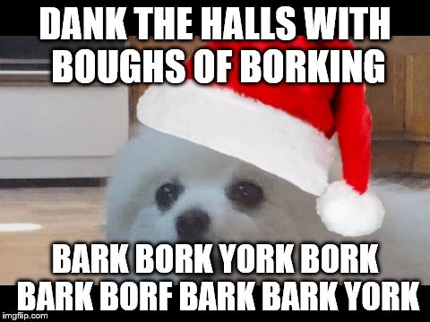 Merry Borkmas | DANK THE HALLS WITH BOUGHS OF BORKING; BARK BORK YORK BORK BARK BORF BARK BARK YORK | image tagged in borking dog,christmas | made w/ Imgflip meme maker