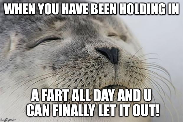 Satisfied Seal | WHEN YOU HAVE BEEN HOLDING IN; A FART ALL DAY AND U CAN FINALLY LET IT OUT! | image tagged in memes,satisfied seal | made w/ Imgflip meme maker