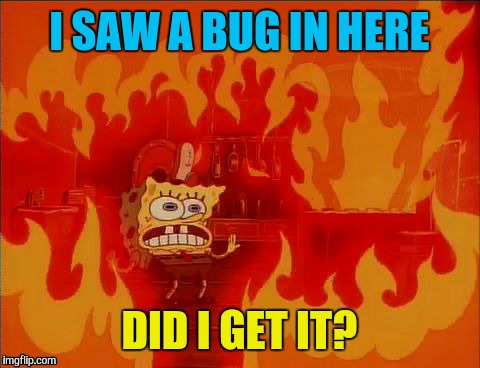 I SAW A BUG IN HERE DID I GET IT? | made w/ Imgflip meme maker
