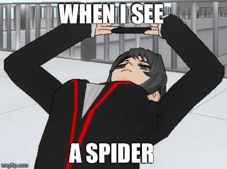 when you trying to take a photo in yandere simulator | WHEN I SEE; A SPIDER | image tagged in when you trying to take a photo in yandere simulator | made w/ Imgflip meme maker