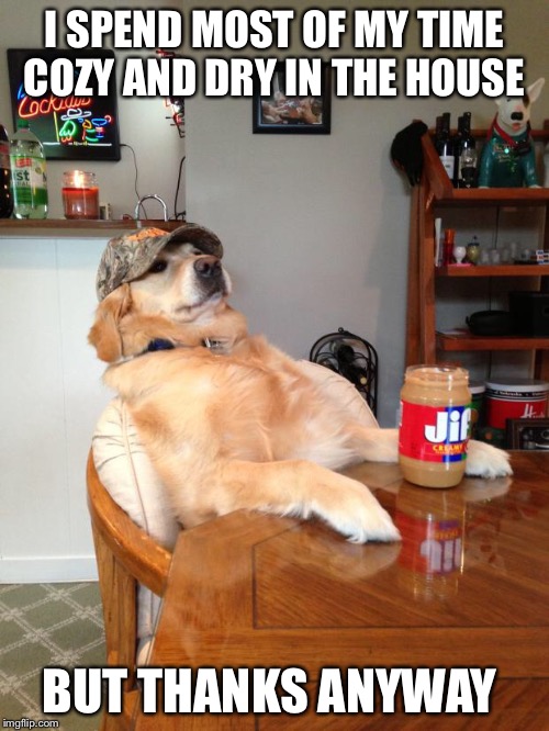 redneck dog | I SPEND MOST OF MY TIME COZY AND DRY IN THE HOUSE; BUT THANKS ANYWAY | image tagged in redneck dog | made w/ Imgflip meme maker