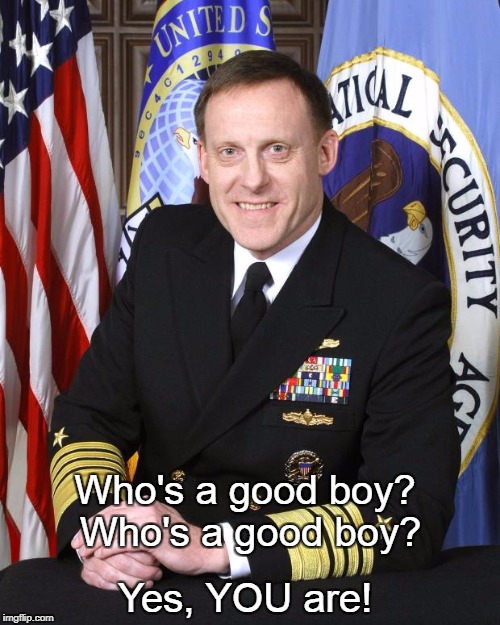 US Navy NSA Chief  | Who's a good boy? Who's a good boy? Yes, YOU are! | image tagged in us navy nsa chief | made w/ Imgflip meme maker