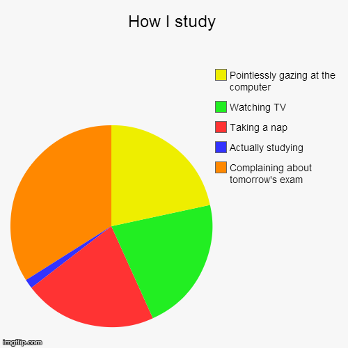 image tagged in funny,pie charts,studying | made w/ Imgflip chart maker