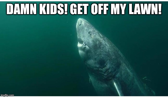 DAMN KIDS! GET OFF MY LAWN! | image tagged in old ass shark | made w/ Imgflip meme maker