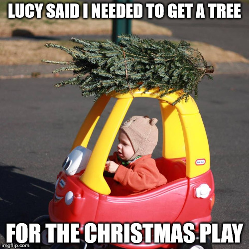 If they made the Peanuts Christmas Special today | LUCY SAID I NEEDED TO GET A TREE; FOR THE CHRISTMAS PLAY | image tagged in christmas tree,tiny tykes car | made w/ Imgflip meme maker