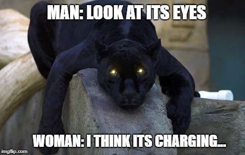 MAN: LOOK AT ITS EYES; WOMAN: I THINK ITS CHARGING... | image tagged in chargin,panther | made w/ Imgflip meme maker