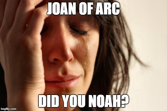 First World Problems Meme | JOAN OF ARC DID YOU NOAH? | image tagged in memes,first world problems | made w/ Imgflip meme maker