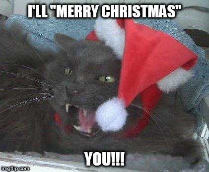 Christmas Cheer | I'LL "MERRY CHRISTMAS"; YOU!!! | image tagged in christmas cheer | made w/ Imgflip meme maker