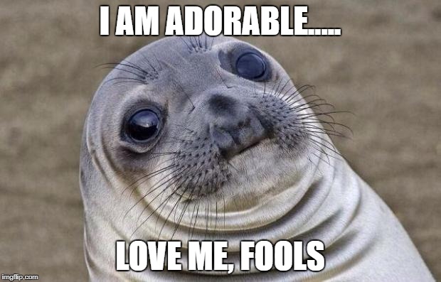 Awkward Moment Sealion Meme | I AM ADORABLE..... LOVE ME, FOOLS | image tagged in memes,awkward moment sealion | made w/ Imgflip meme maker