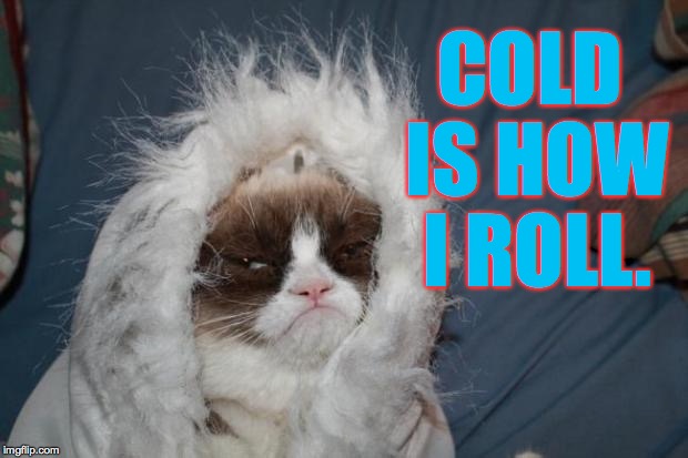 No, it's not cold in here.  It's just me. | COLD IS HOW I ROLL. | image tagged in memes,grumpy cat | made w/ Imgflip meme maker