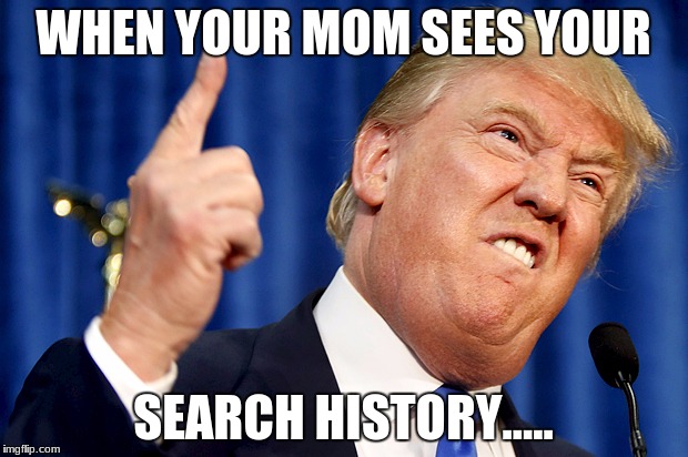 Donald Trump | WHEN YOUR MOM SEES YOUR; SEARCH HISTORY..... | image tagged in donald trump | made w/ Imgflip meme maker