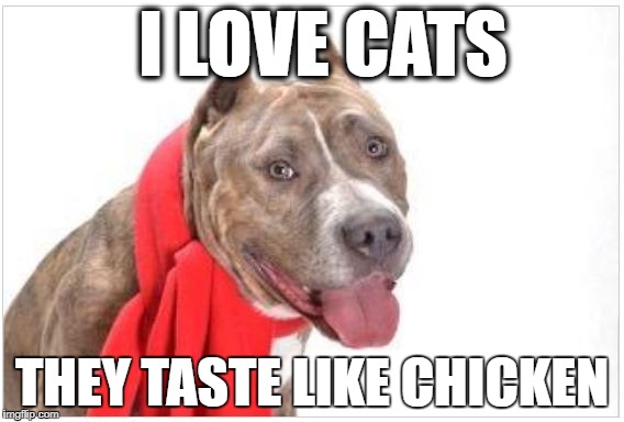ADOPT ME | I LOVE CATS; THEY TASTE LIKE CHICKEN | image tagged in pitbull | made w/ Imgflip meme maker