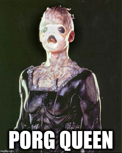 Porg Queen | PORG QUEEN | image tagged in porg,star wars,star trek,borg | made w/ Imgflip meme maker