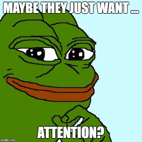 pepe | MAYBE THEY JUST WANT ... ATTENTION? | image tagged in pepe | made w/ Imgflip meme maker