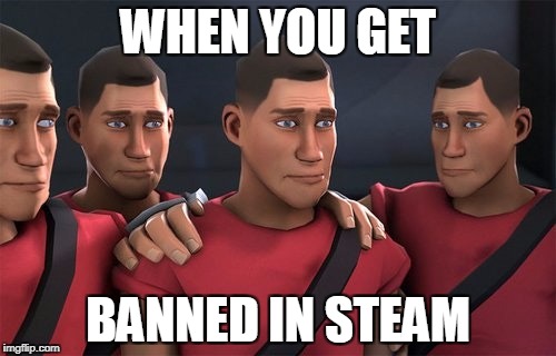 WHEN YOU GET; BANNED IN STEAM | image tagged in memes,tf2 | made w/ Imgflip meme maker
