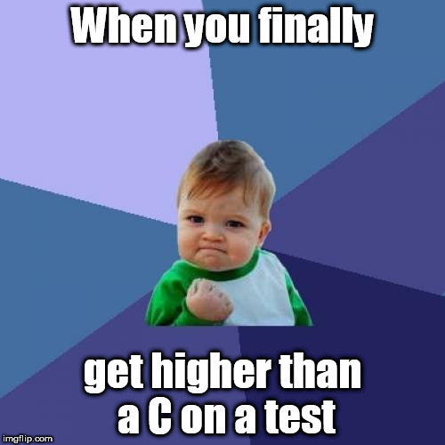 Success Kid Meme | When you finally; get higher than a C on a test | image tagged in memes,success kid | made w/ Imgflip meme maker