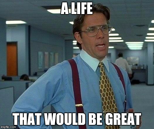 That Would Be Great |  A LIFE; THAT WOULD BE GREAT | image tagged in memes,that would be great | made w/ Imgflip meme maker