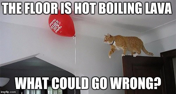cat what could go wrong | THE FLOOR IS HOT BOILING LAVA; WHAT COULD GO WRONG? | image tagged in cat what could go wrong | made w/ Imgflip meme maker