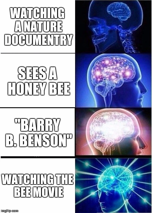My name is Benson, oml | WATCHING A NATURE DOCUMENTRY; SEES A HONEY BEE; "BARRY B. BENSON"; WATCHING THE BEE MOVIE | image tagged in memes,expanding brain,bees,bee movie,barry b benson | made w/ Imgflip meme maker