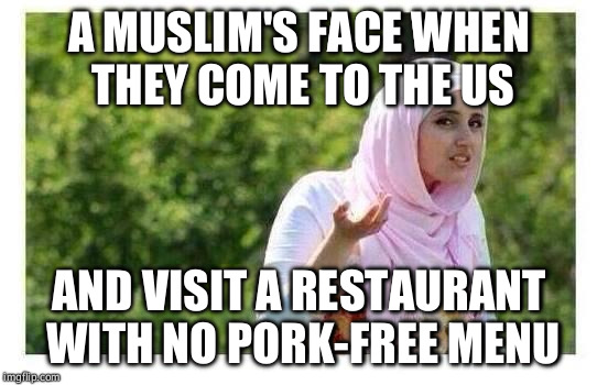 Confused Muslim Girl |  A MUSLIM'S FACE WHEN THEY COME TO THE US; AND VISIT A RESTAURANT WITH NO PORK-FREE MENU | image tagged in confused muslim girl | made w/ Imgflip meme maker