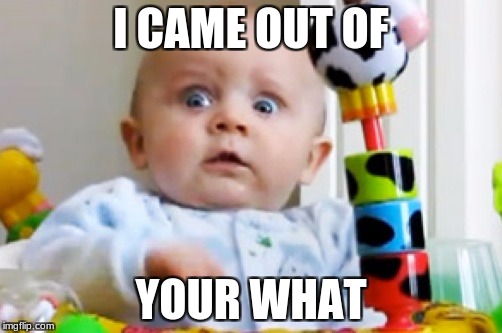Shocked baby | I CAME OUT OF; YOUR WHAT | image tagged in shocked baby | made w/ Imgflip meme maker