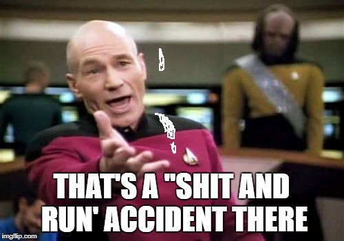 Picard Wtf Meme | THAT'S A "SHIT AND RUN' ACCIDENT THERE | image tagged in memes,picard wtf | made w/ Imgflip meme maker