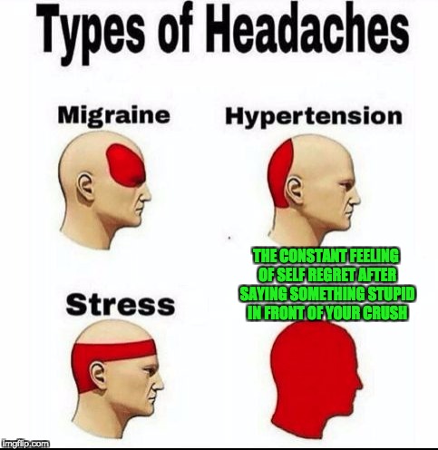 Types of Headaches meme | THE CONSTANT FEELING OF SELF REGRET AFTER SAYING SOMETHING STUPID IN FRONT OF YOUR CRUSH | image tagged in types of headaches meme | made w/ Imgflip meme maker