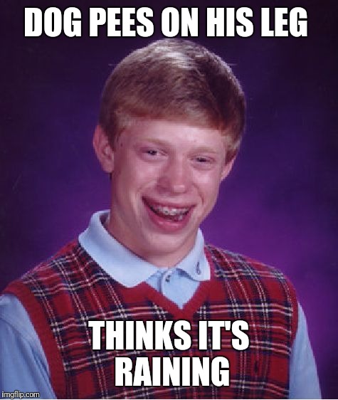 Bad Luck Brian | DOG PEES ON HIS LEG; THINKS IT'S  RAINING | image tagged in memes,bad luck brian | made w/ Imgflip meme maker