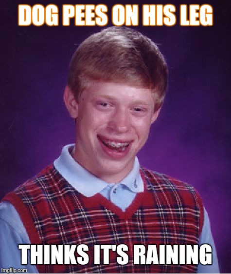 Bad Luck Brian Meme | DOG PEES ON HIS LEG; THINKS IT'S RAINING | image tagged in memes,bad luck brian | made w/ Imgflip meme maker