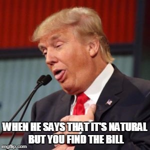 Bad Trump pickup line | WHEN HE SAYS THAT IT'S NATURAL BUT YOU FIND THE BILL | image tagged in trump,donald trumph hair,spray tan,bad hair day | made w/ Imgflip meme maker