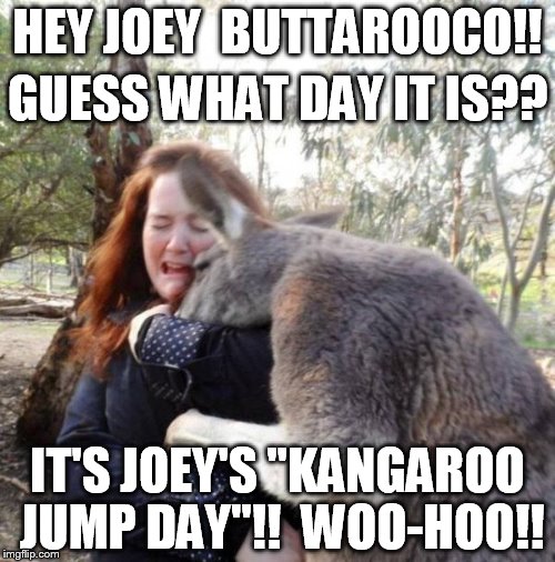 HEY JOEY  BUTTAROOCO!! GUESS WHAT DAY IT IS?? IT'S JOEY'S "KANGAROO JUMP DAY"!!  WOO-HOO!! | image tagged in joey buttarooco,celebrity groper | made w/ Imgflip meme maker