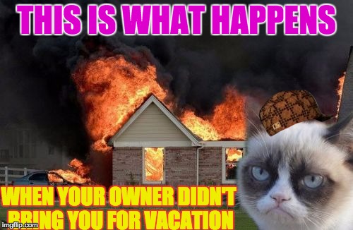 Burn Kitty | THIS IS WHAT HAPPENS; WHEN YOUR OWNER DIDN'T BRING YOU FOR VACATION | image tagged in memes,burn kitty,grumpy cat,scumbag | made w/ Imgflip meme maker