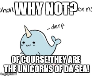 WHY NOT? OF COURSE!THEY ARE THE UNICORNS OF DA SEA! | made w/ Imgflip meme maker