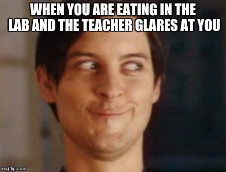 Spiderman Peter Parker Meme | WHEN YOU ARE EATING IN THE LAB AND THE TEACHER GLARES AT YOU | image tagged in memes,spiderman peter parker | made w/ Imgflip meme maker