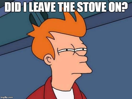 Futurama Fry | DID I LEAVE THE STOVE ON? | image tagged in memes,futurama fry | made w/ Imgflip meme maker