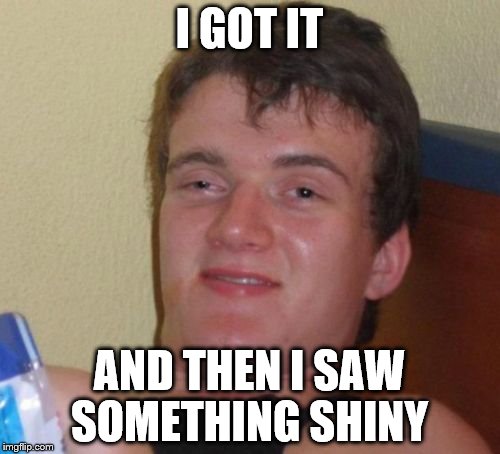 10 Guy Meme | I GOT IT AND THEN I SAW SOMETHING SHINY | image tagged in memes,10 guy | made w/ Imgflip meme maker