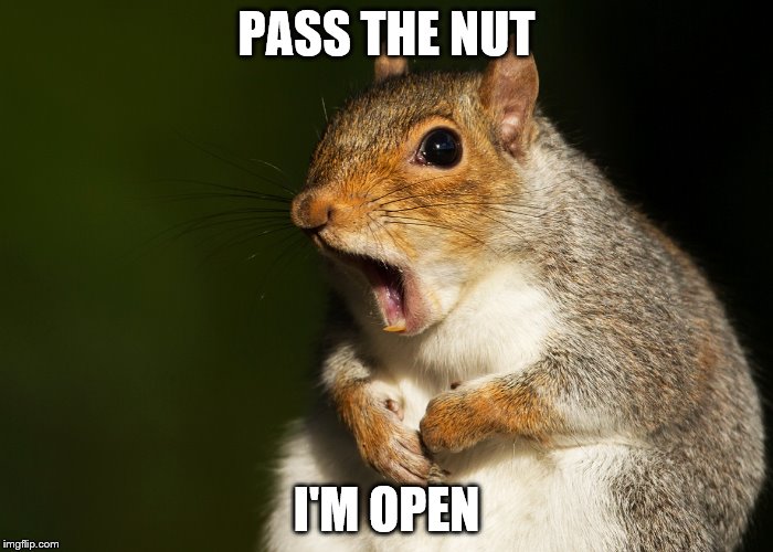 PASS THE NUT I'M OPEN | made w/ Imgflip meme maker