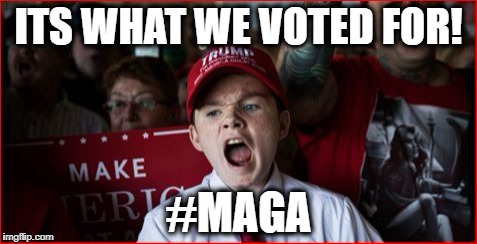 ITS WHAT WE VOTED FOR! #MAGA | made w/ Imgflip meme maker