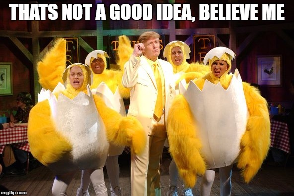 Chicken Trump | THATS NOT A GOOD IDEA, BELIEVE ME | image tagged in chicken trump | made w/ Imgflip meme maker