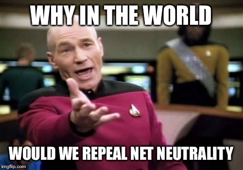 Can't wait to pay $2.00 a Google search! Net neutrality month-a SilicaSandwhich event (December 2017) | WHY IN THE WORLD; WOULD WE REPEAL NET NEUTRALITY | image tagged in memes,picard wtf | made w/ Imgflip meme maker