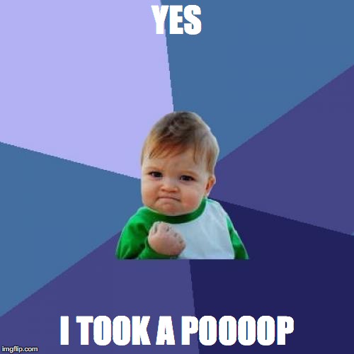 Success Kid Meme | YES; I TOOK A POOOOP | image tagged in memes,success kid | made w/ Imgflip meme maker