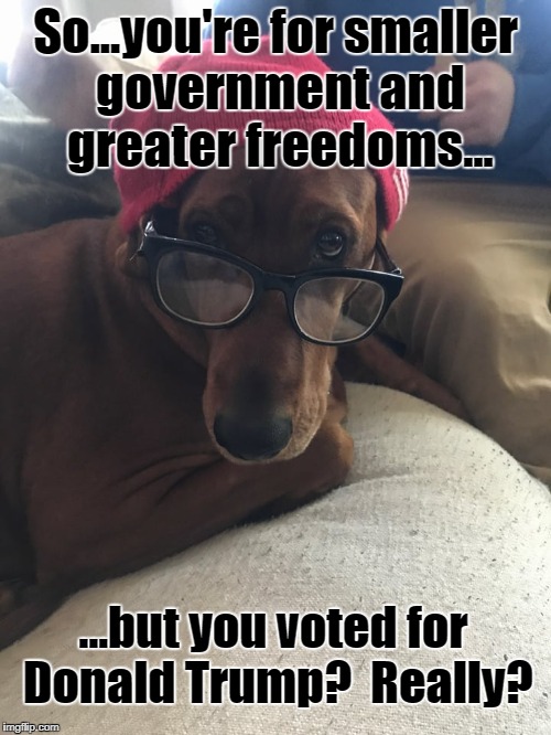 So...you're for smaller government and greater freedoms... ...but you voted for Donald Trump?

Really? | image tagged in smart dog,funny dogs,impeach trump,trump | made w/ Imgflip meme maker