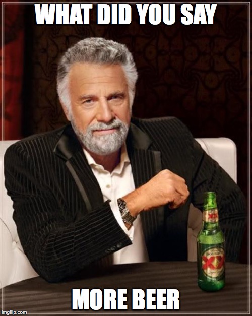 The Most Interesting Man In The World | WHAT DID YOU SAY; MORE BEER | image tagged in memes,the most interesting man in the world | made w/ Imgflip meme maker