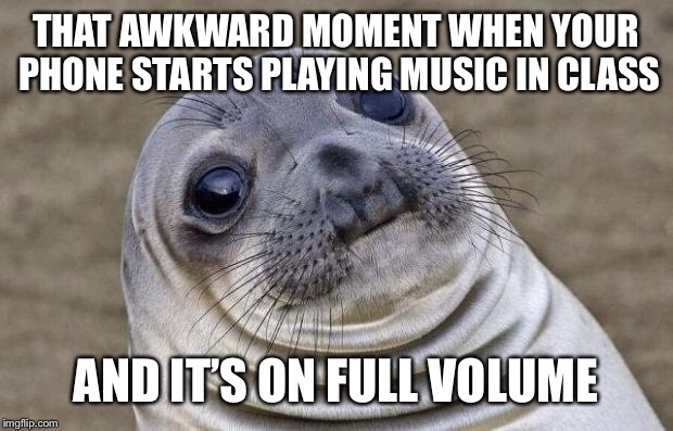 Awkward Moment Sealion | THAT AWKWARD MOMENT WHEN YOUR PHONE STARTS PLAYING MUSIC IN CLASS; AND IT’S ON FULL VOLUME | image tagged in memes,awkward moment sealion | made w/ Imgflip meme maker